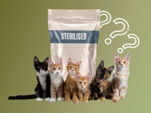 Cibo per gatti sterilizzati